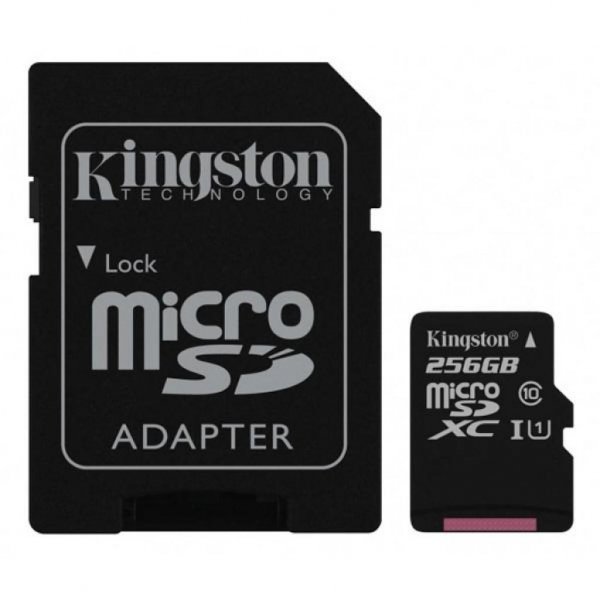 Карта пам'яті Kingston 256GB microSDXC class 10 UHS-I Canvas Select (SDCS/256GB)