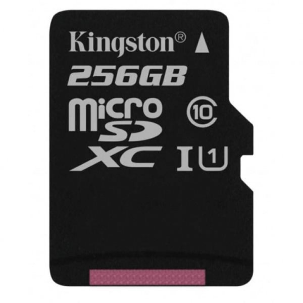 Карта пам'яті Kingston 256GB microSDXC class 10 UHS-I Canvas Select (SDCS/256GB)