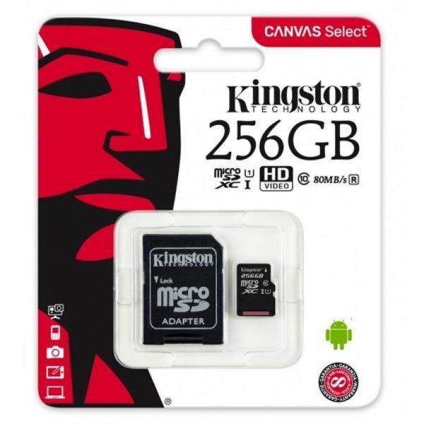 Карта пам'яті Kingston 256GB microSDXC class 10 UHS-I Canvas Select (SDCS/256GB)