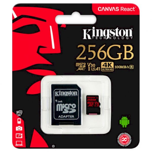 Карта пам'яті Kingston 256GB microSDXC class 10 UHS-I U3 (SDCR/256GB)