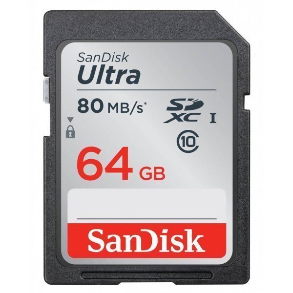 Карта пам'яті SANDISK 64GB SDXC Class 10 UHS-I (SDSDUNC-064G-GN6IN)