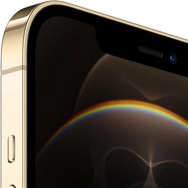 Мобільний телефон Apple iPhone 12 Pro Max 256Gb Gold (MGDE3)