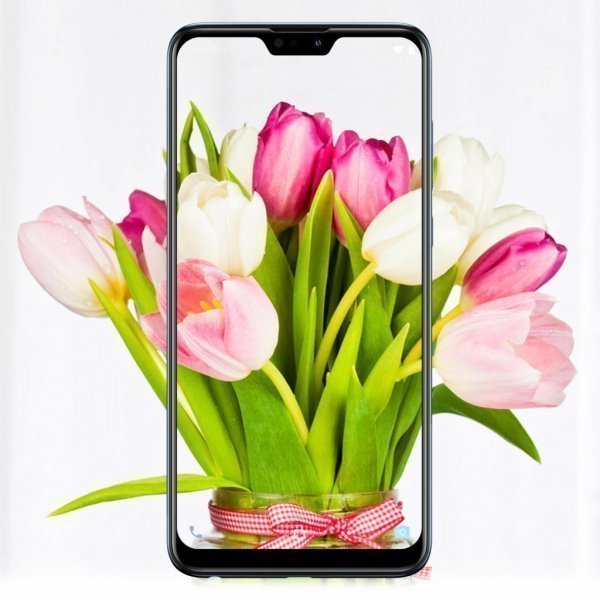 Мобільний телефон ASUS ZenFone Max Pro (M2) ZB631KL 6/64 GB Midnight Blue (ZB631KL-4D067EU)