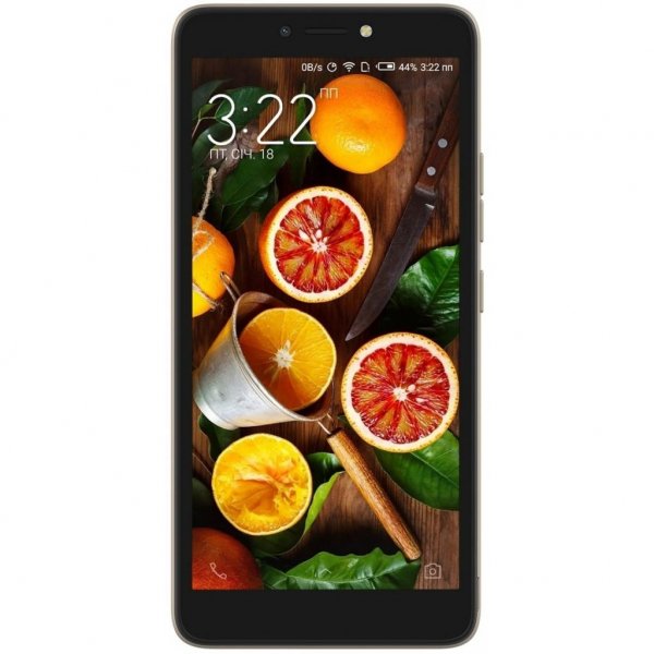 Мобільний телефон TECNO B1P (POP 2 Power) 1/16Gb Champagne Gold (4895180747410)
