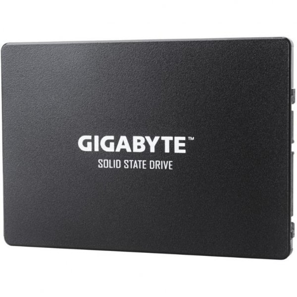 Накопичувач SSD 2.5 256GB GIGABYTE (GP-GSTFS31256GTND) Накопичувач SSD 2.5 256GB GIGABYTE (GP-GSTFS31256GTND)