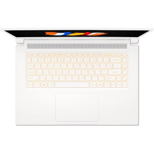 Ноутбук Acer ConceptD 3 Pro CN315-72P (NX.C5ZEU.007)