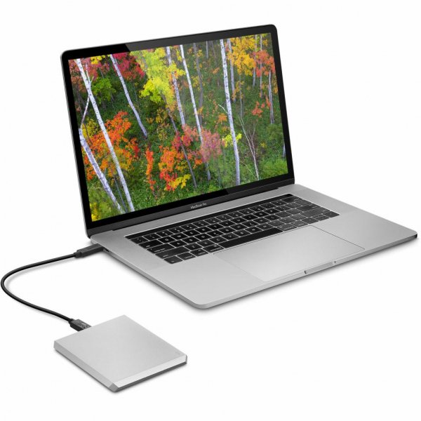 Зовнішній жорсткий диск 2.5 1TB LaCie (STFR1000800) Зовнішній жорсткий диск 2.5 1TB LaCie (STFR1000800)